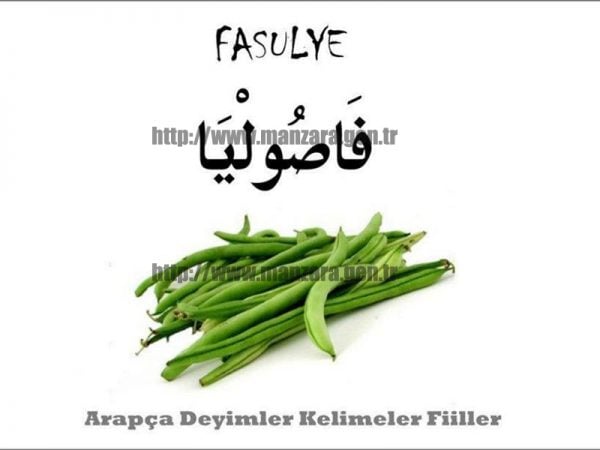 Arapça fasulye yazısı ve resmi