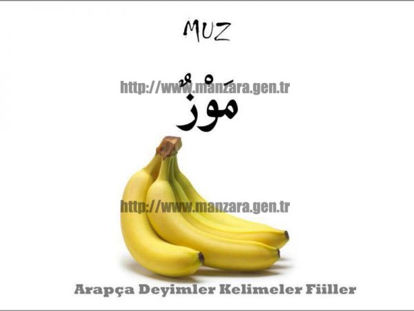Arapça muz yazısı ve resmi