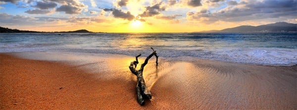 Ağaç Kovuğu ve Sahil Facebook Kapağı