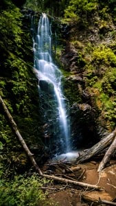 Berry Creek Şelalesi iPhone 6