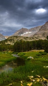 Chicken Foot Lake iPhone 6 Plus