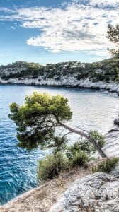 Dağ Manzarası 1080x1920