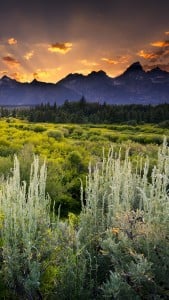 Galaxy Note 4 Arka Planları