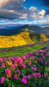 Galaxy Note 4 Manzaraları