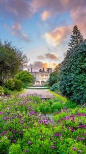 Government House iPhone 6 Plus