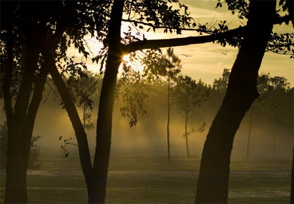 Göz Kırpan Güneş