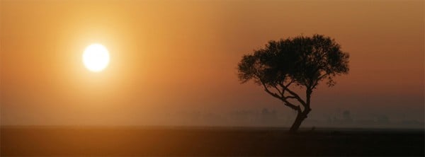 Kalifornia Tarla Gün Batımı Kapak Fotoğrafı