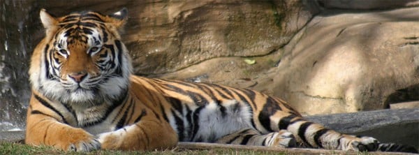 Kaplan Facebook Kapağı