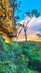 Mavi Dağlar iPhone 6 Plus