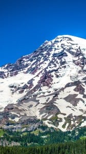 Mt. Rainier iPhone 6 plus