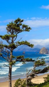 Oregon Manzarası iPhone 6 Plus