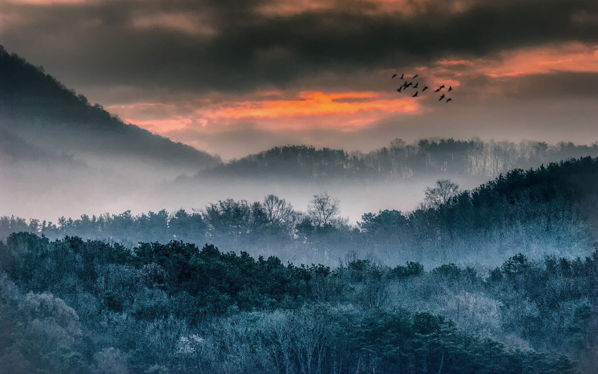 Ormanda Gün Batarken