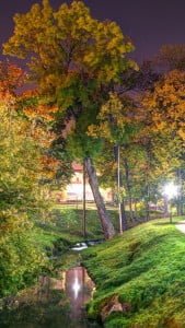Park Gece Manzarası