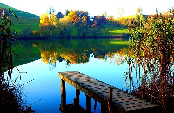 Renk cümbüşü resmi