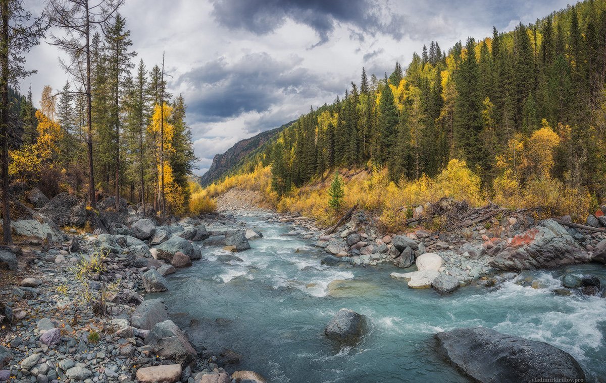 Rusya Orman Manzarası