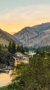 Salmon Nehri iPhone 6 plus