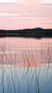 Son Gün Batımı LG G3