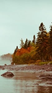 Sonbahar ve Orman 1080x1920