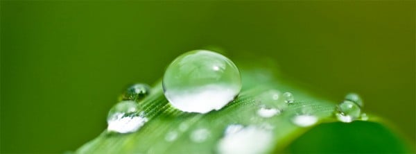 Su Damlacıkları Facebook Kapağı