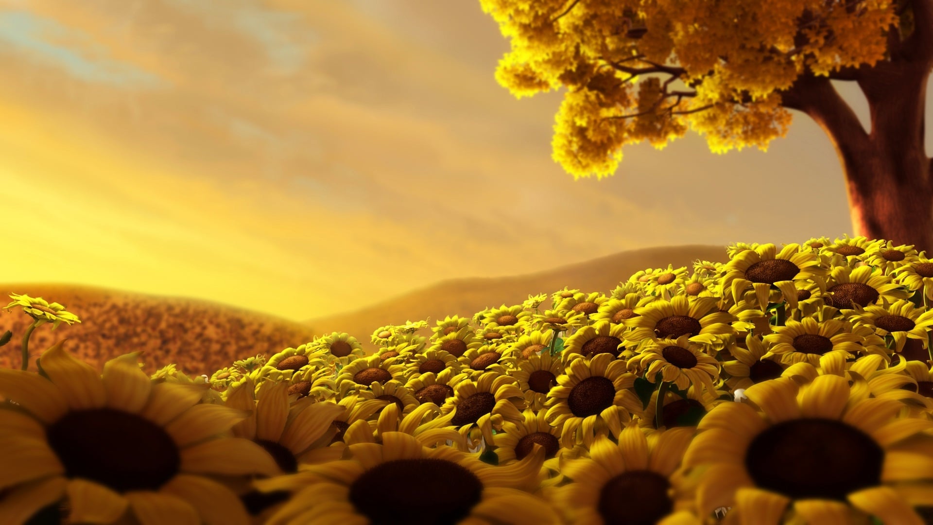Sunflower Landscapes