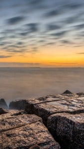 Texas Sahili iPhone 6 Plus