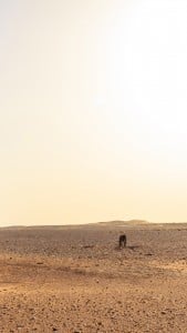 Western Sahara Çölü iPhone 6 Plus
