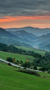 Wielki lipnik iPhone 6 plus