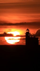 arago denizevi 1080x1920