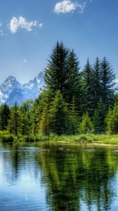 ağaç ve müthiş göl 1080x1920