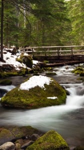 bahar ve dere 1080x1920