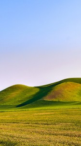 büyük yeşillikler 1080x1920