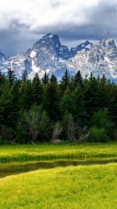 büyük çayır 1080x1920