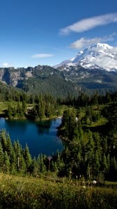 doğa manzarası 1080x1920