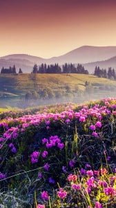 doğa manzarası 1080x1920