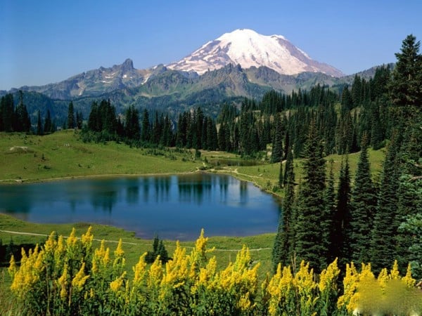 doğanın güzelliği