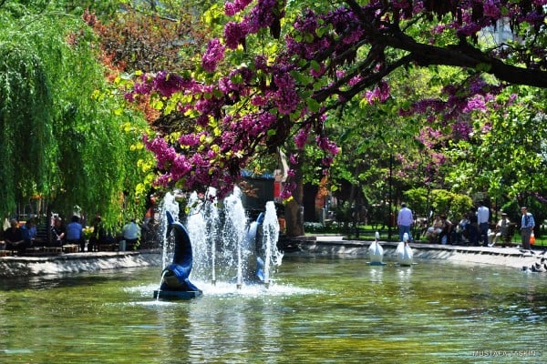 eskişehir süper park