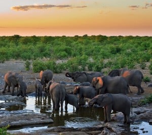 Fil Samsung Galaxy S3 Wallpaper