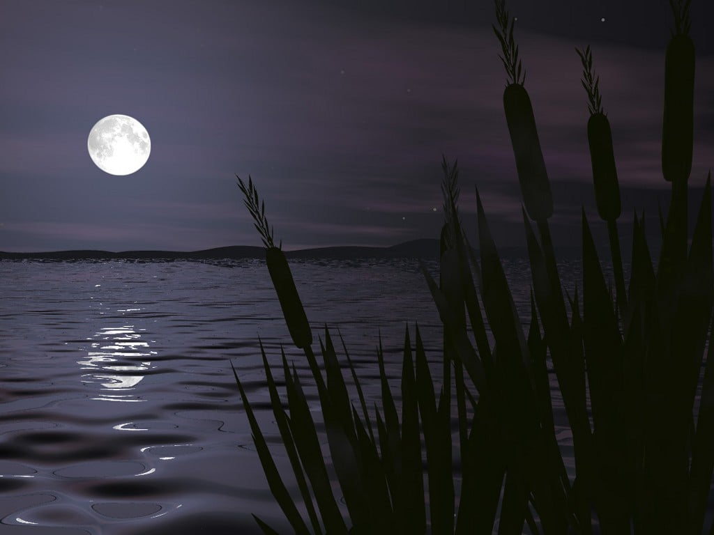 gece-resimleri%5B1%5D-1273427322.jpg