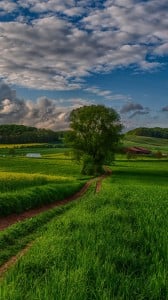 güzel doğa manzarası 1080x1920