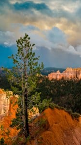 LG Nexus 5 Manzaraları