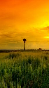 Samsung Galaxy S5 HD Duvar kağıtları