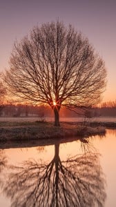 güzel yansıma 1080x1920