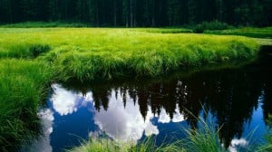 hd-doga-manzaralari-5