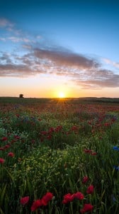 Samsung Galaxy i9500 HD Duvar kağıtları