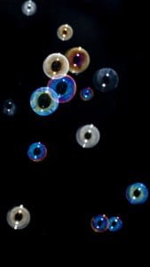 iPhone 5 Wallpaper Flying Bubbles 4