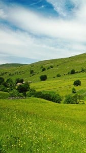 iPhone 5 Doğa Wallpaper 2