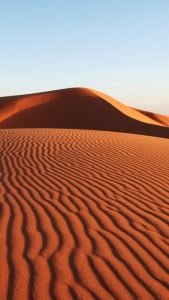 iPhone 5 Doğa Wallpaper 5