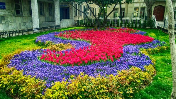 kadıköy meydan laleler