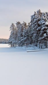 kar manzarası 1080x1920