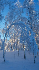 karlı gün batımı 1080x1920